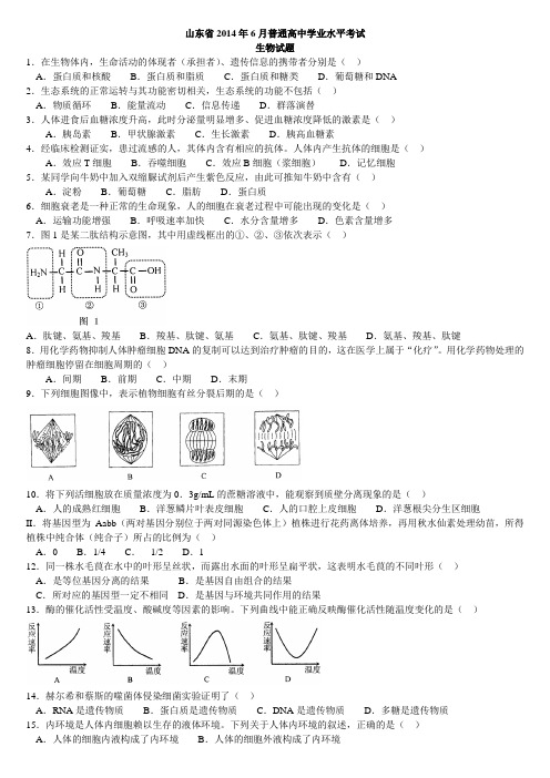 山东省2014年6月普通高中学业水平考试生物试题 (1)