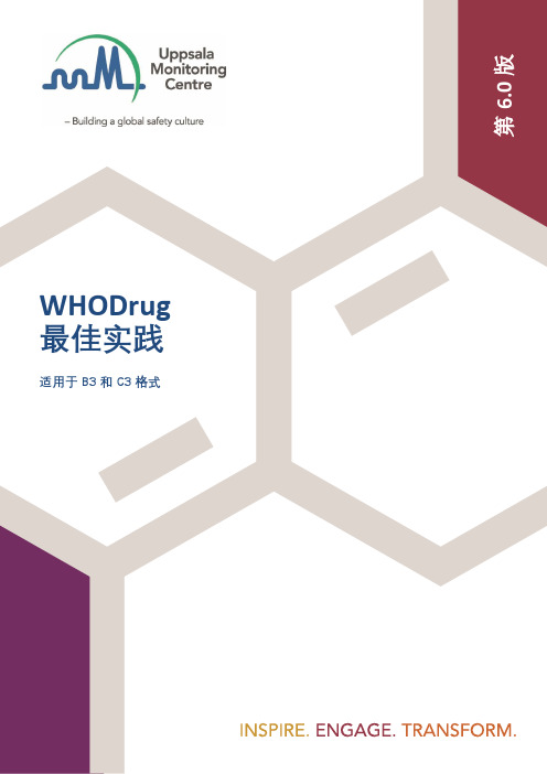 WHODrug 最佳实践 ：第 6.0 版说明书