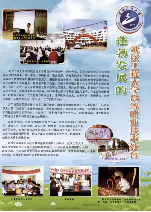 蓬勃发展的武汉工程大学高等职业技术教育