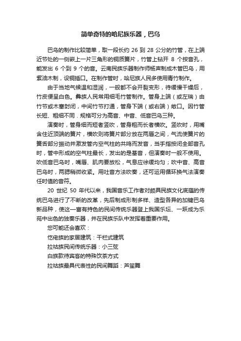 简单奇特的哈尼族乐器，巴乌