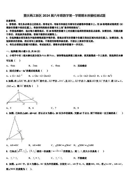 重庆两江新区2024届八年级数学第一学期期末质量检测试题含解析