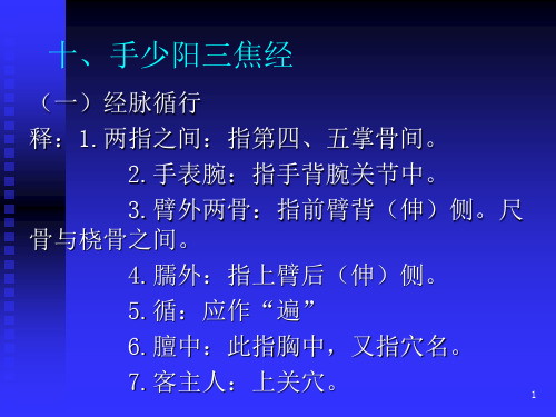 手少阳三焦经