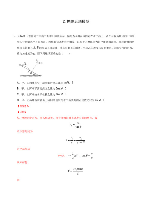 模型11抛体运动模型(解析版)-备战2021年高考物理模型专题突破