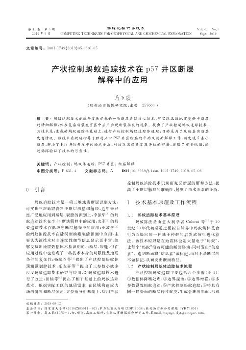 产状控制蚂蚁追踪技术在p57井区断层解释中的应用