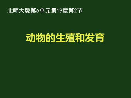 北师大版八年级生物上册 动物的生殖和发育 课件