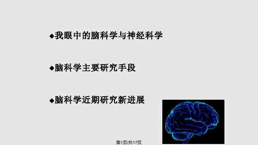 脑科学进展PPT课件