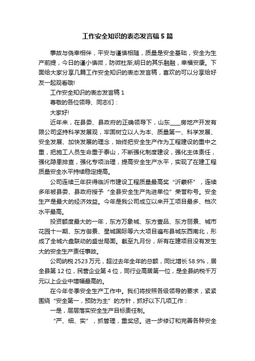 工作安全知识的表态发言稿5篇