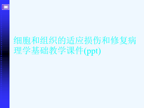 细胞和组织的适应损伤和修复病理学基础教学课件(ppt)