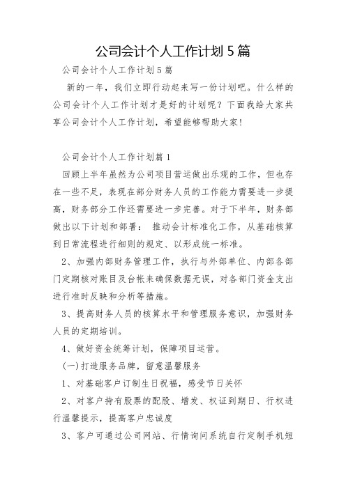 公司会计个人工作计划5篇