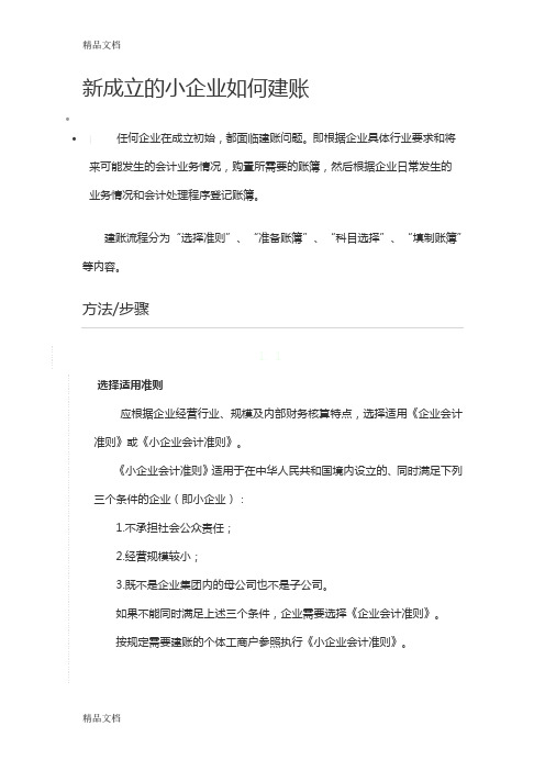 新成立的小企业如何建账word版本