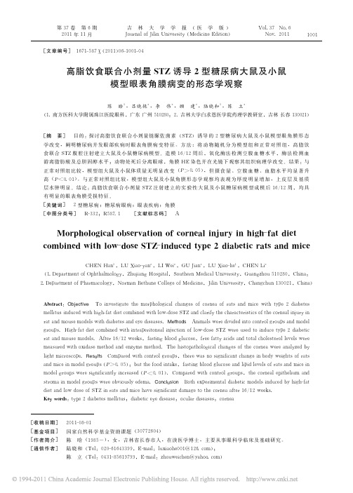 高脂饮食联合小剂量STZ诱导2型糖尿病大鼠及小鼠模型眼表角膜病变的形态学观察