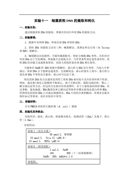 实验十一  细菌质粒DNA的提取和纯化