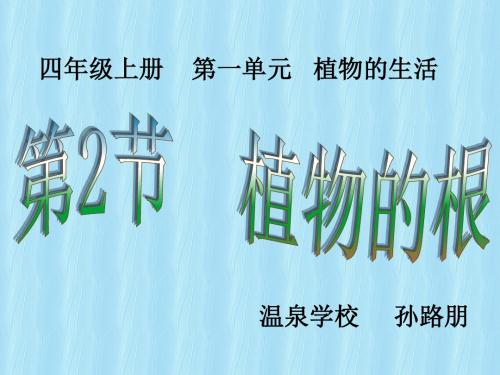 四年级科学上册《植物的根》课件