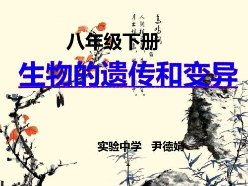 生物的遗传和变异复习课件