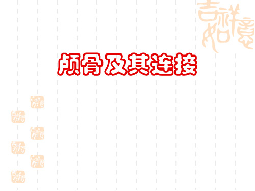 颅骨及其连结