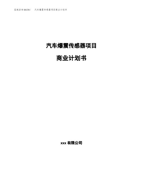 汽车爆震传感器项目商业计划书