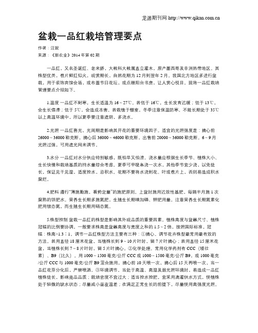 盆栽一品红栽培管理要点