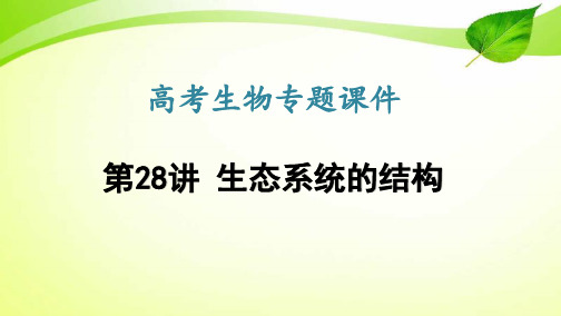 高考生物专题课件28：生态系统的结构