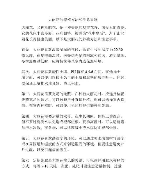 大丽花的养殖方法和注意事项