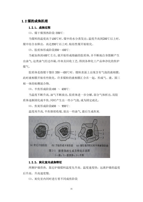 第二节：煤的成焦机理 (11-13)