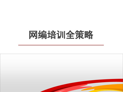 网编SEO培训课程全策略