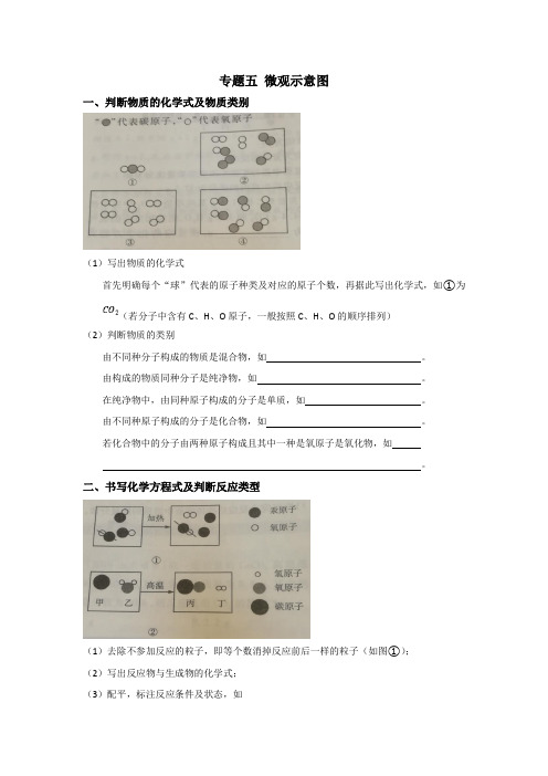 专题五 微观示意图