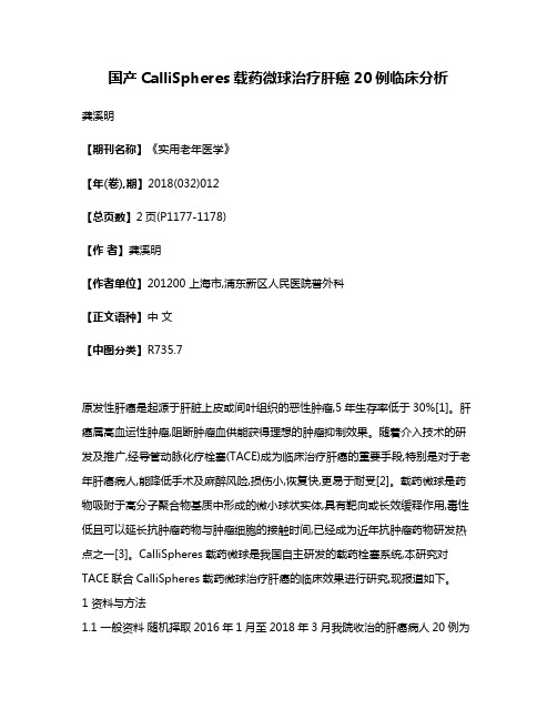 国产CalliSpheres载药微球治疗肝癌20例临床分析