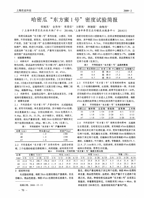 哈密瓜“东方蜜1号”密度试验简报