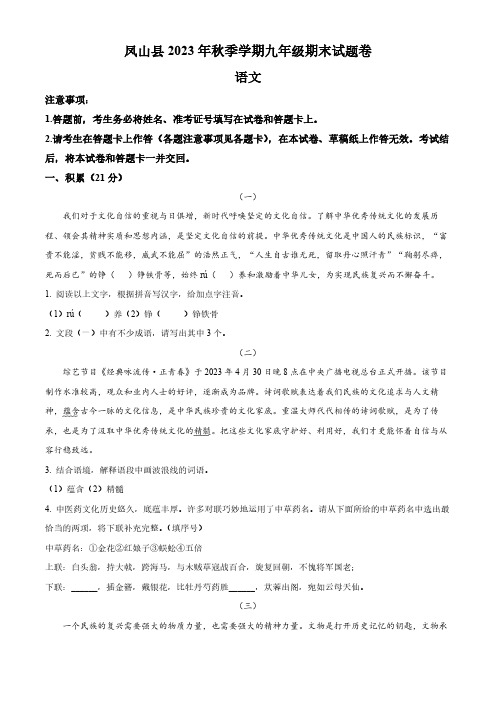 精品解析：广西壮族自治区河池市凤山县2023-2024学年九年级上学期期末语文试题(解析版)