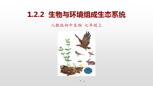 《生物与环境组成生态系统》PPT优秀课件