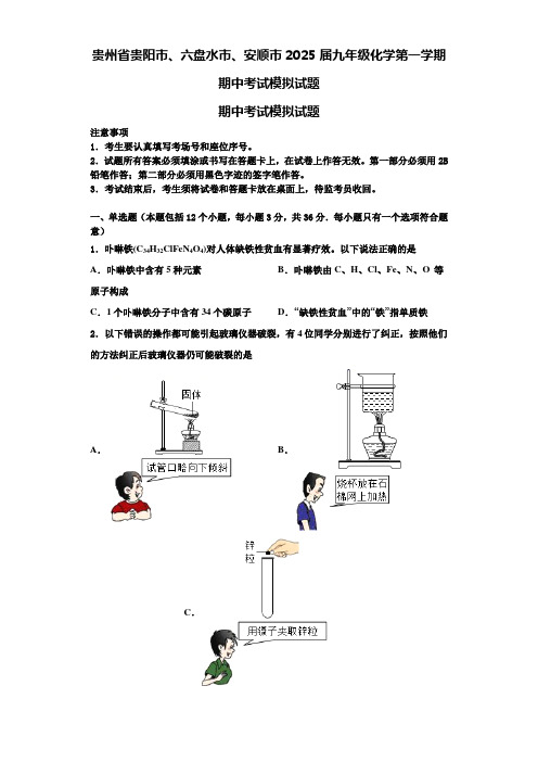 贵州省贵阳市、六盘水市、安顺市2025届九年级化学第一学期期中考试模拟试题含解析