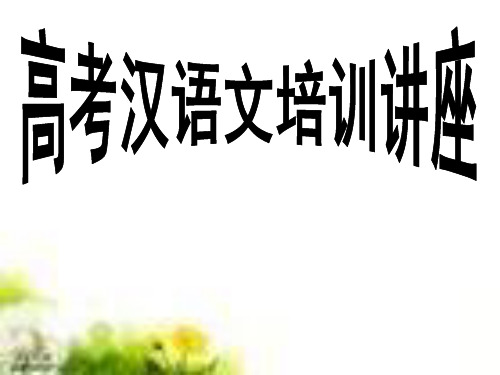 高考汉语文培训讲座