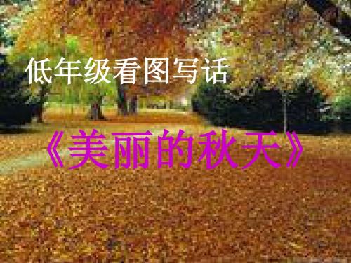 低年级看图写话训练《美丽的秋天》课件