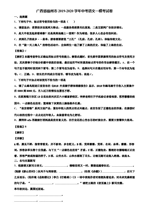 广西省梧州市2019-2020学年中考语文一模考试卷含解析