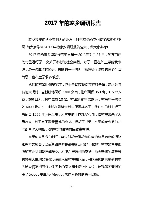 2017年的家乡调研报告