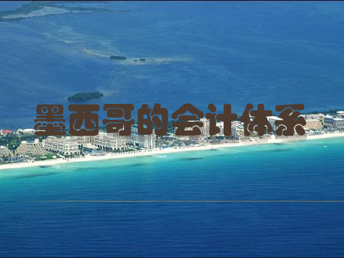 墨西哥会计模式