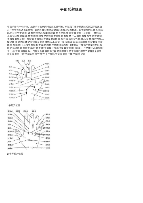 手部反射区图