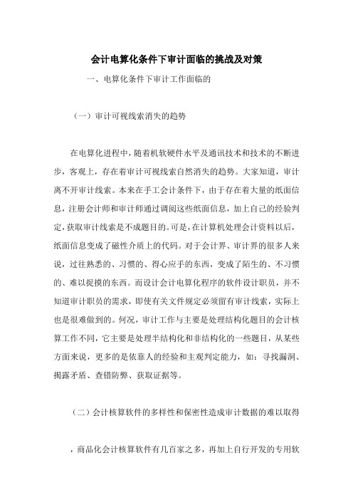 会计电算化条件下审计面临的挑战及对策