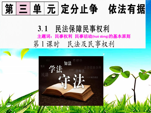 八年级道德与法治 第三单元 定分止争 依法有据 3.1 民法保障民事权利 第1框 民法及民事权利1