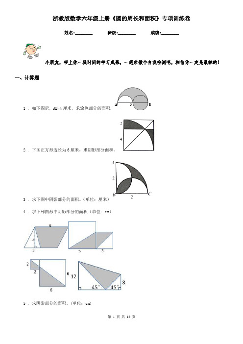 浙教版 数学六年级上册《圆的周长和面积》专项训练卷