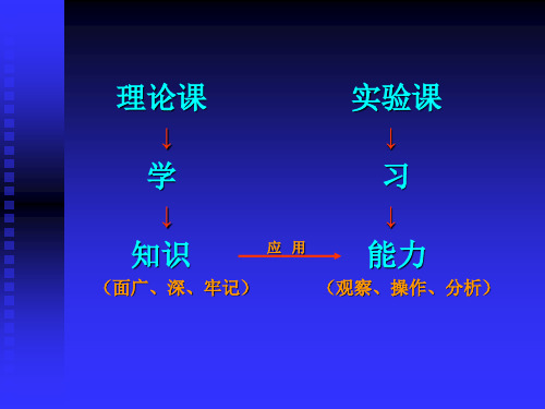 机能学基础性实验总结