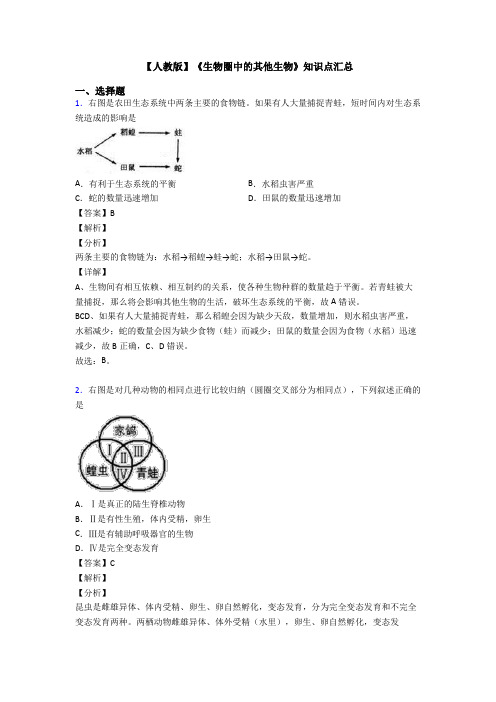 【人教版】《生物圈中的其他生物》知识点汇总