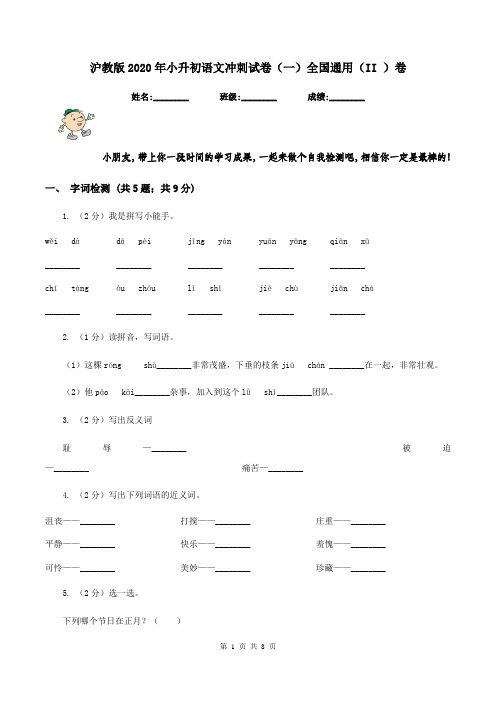 沪教版2020年小升初语文冲刺试卷(一)全国通用(II )卷