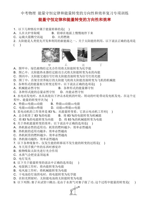 中考物理 能量守恒定律和能量转化方向性和效率复习专项训练