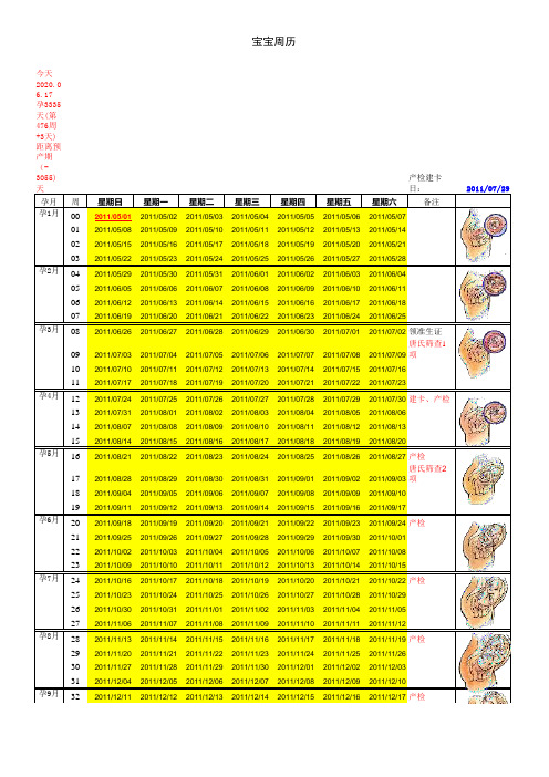 怀孕日历