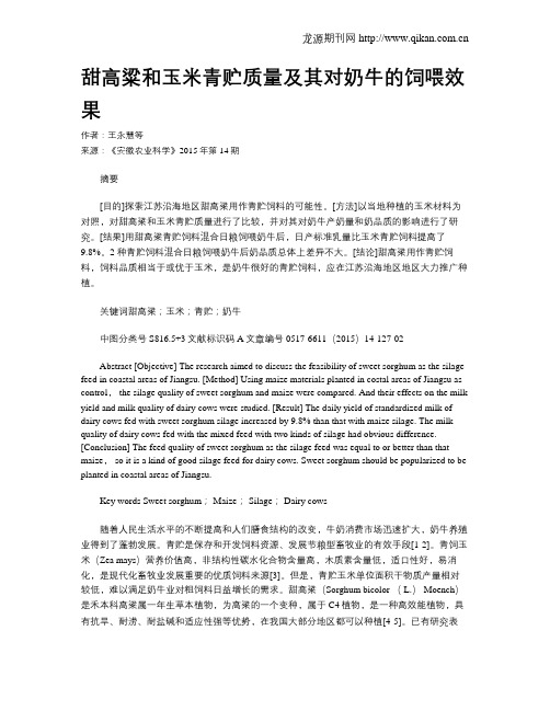 甜高粱和玉米青贮质量及其对奶牛的饲喂效果