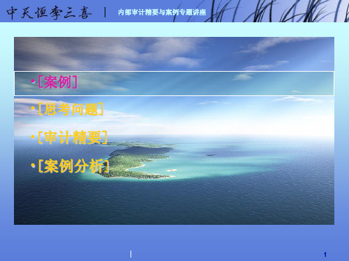 内部审计精要与案例讲义awei698181页PPT