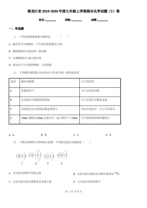 黑龙江省2019-2020年度九年级上学期期末化学试题(I)卷