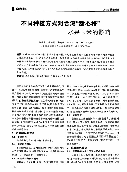 不同种植方式对台湾“甜心格”水果玉米的影响