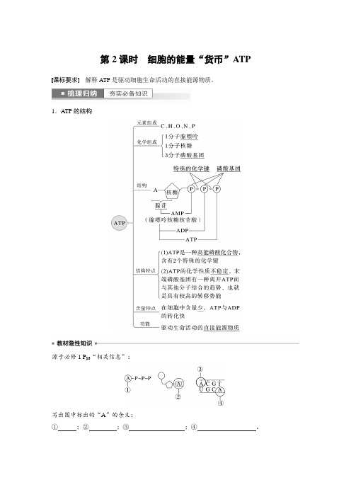 xs第三单元 第2课时 细胞的能量“货币”ATP